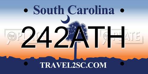 242ATH South Carolina License Plate