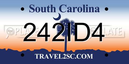 242ID4 South Carolina License Plate