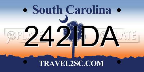 242IDA South Carolina License Plate