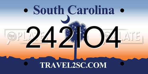 242IO4 South Carolina License Plate