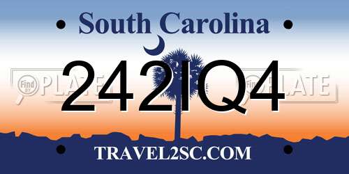 242IQ4 South Carolina License Plate