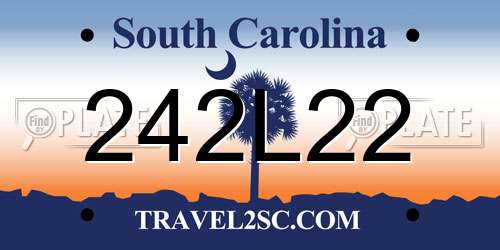 242L22 South Carolina License Plate