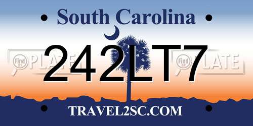 242LT7 South Carolina License Plate