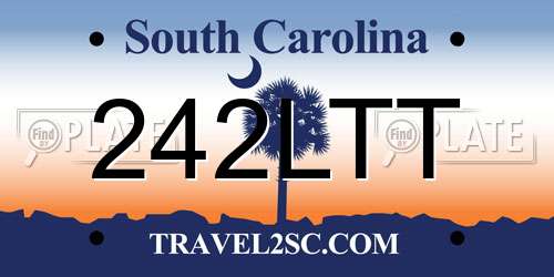 242LTT South Carolina License Plate