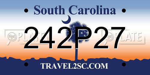 242P27 South Carolina License Plate