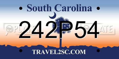 242P54 South Carolina License Plate