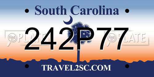 242P77 South Carolina License Plate