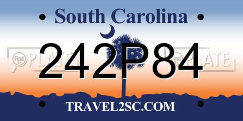 242P84 South Carolina License Plate