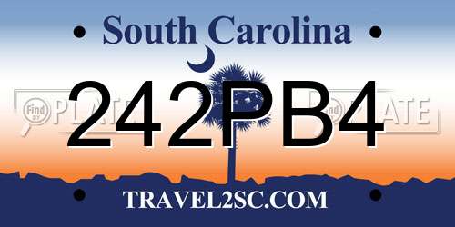 242PB4 South Carolina License Plate