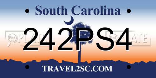 242PS4 South Carolina License Plate