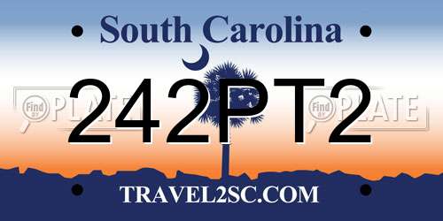 242PT2 South Carolina License Plate