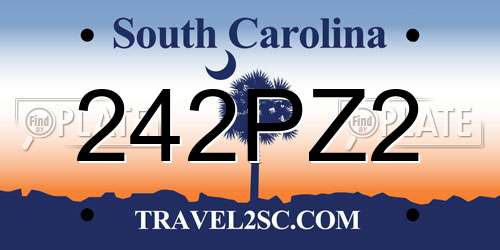 242PZ2 South Carolina License Plate