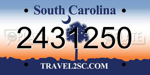 2431250 South Carolina License Plate