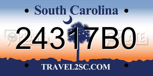 24317B0 South Carolina License Plate