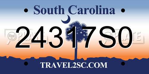 24317S0 South Carolina License Plate