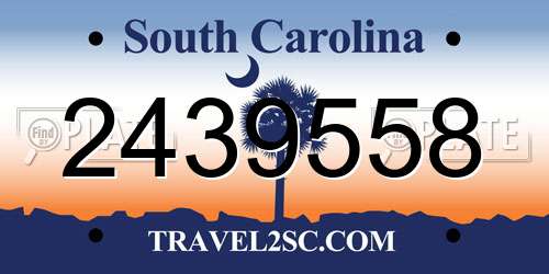 2439558 South Carolina License Plate