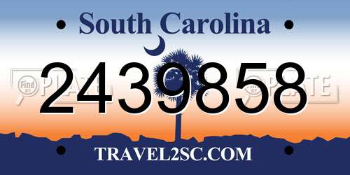 2439858 South Carolina License Plate
