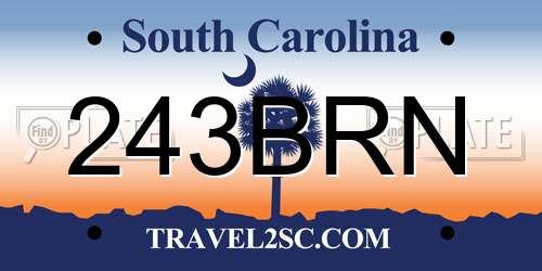 243BRN South Carolina License Plate
