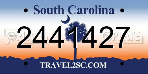 2441427 South Carolina License Plate