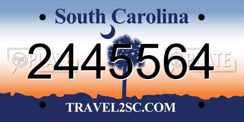 2445564 South Carolina License Plate
