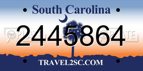 2445864 South Carolina License Plate