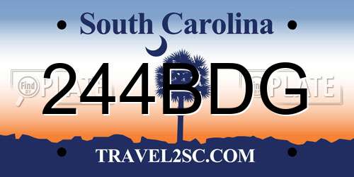 244BDG South Carolina License Plate