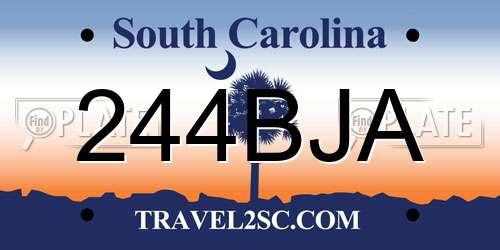 244BJA South Carolina License Plate