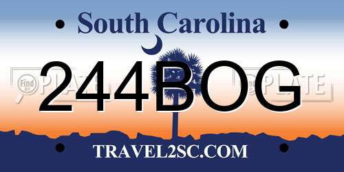 244BOG South Carolina License Plate