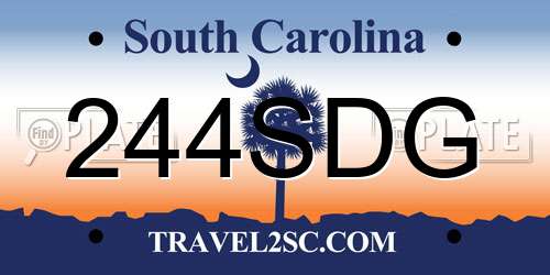 244SDG South Carolina License Plate