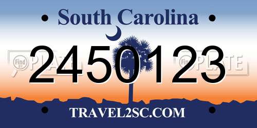 2450123 South Carolina License Plate
