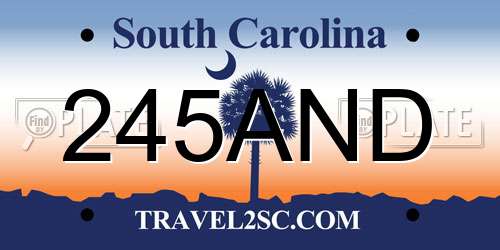 245AND South Carolina License Plate