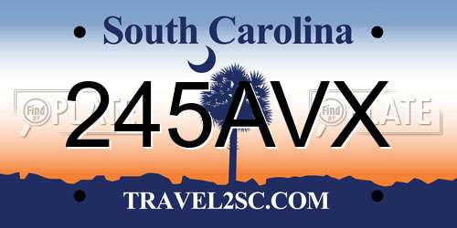 245AVX South Carolina License Plate