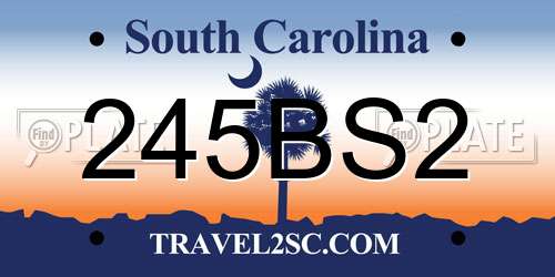 245BS2 South Carolina License Plate
