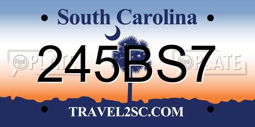 245BS7 South Carolina License Plate