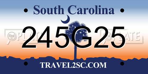245G25 South Carolina License Plate