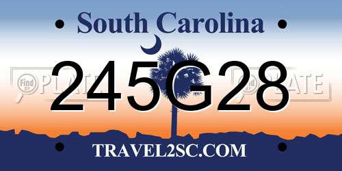 245G28 South Carolina License Plate
