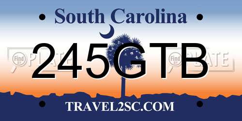 245GTB South Carolina License Plate