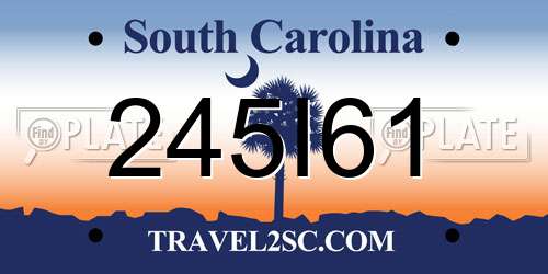 245I61 South Carolina License Plate