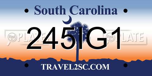 245IG1 South Carolina License Plate
