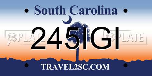 245IGI South Carolina License Plate