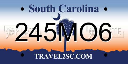 245MO6 South Carolina License Plate