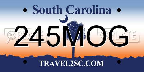 245MOG South Carolina License Plate