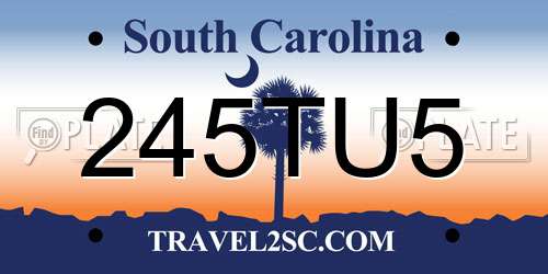 245TU5 South Carolina License Plate