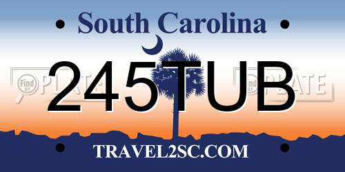 245TUB South Carolina License Plate