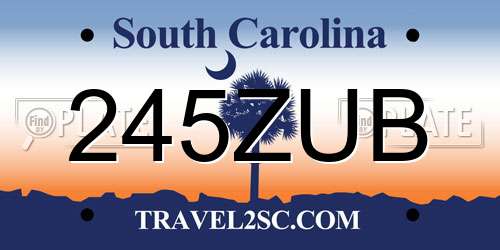 245ZUB South Carolina License Plate