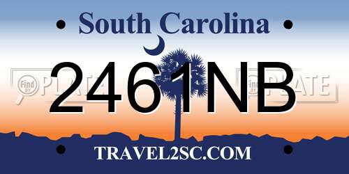 2461NB South Carolina License Plate