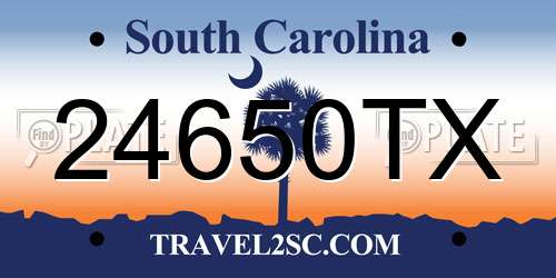 24650TX South Carolina License Plate