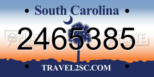 2465385 South Carolina License Plate