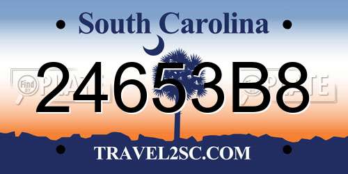 24653B8 South Carolina License Plate