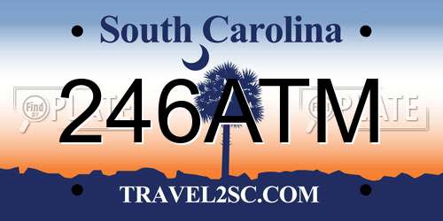 246ATM South Carolina License Plate